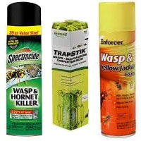 Wasp, Hornet, and Fly Sprays